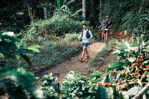 BIB: 
                            <button type="button" onclick="openModal(25855207)" class="btn btn-primary btn-sm float-right btn-popup" data-toggle="modal" data-target=".modal-high-quality">
                        <i class="fas fa-shopping-cart"></i> Add to Cart
                    </button>
                                            <button type="button" onclick="isThisMe(25855207, true)" class="btn btn-success btn-sm float-right btn-popup btn-isme hidden" data-toggle="tooltip" data-placement="bottom" title="นี่คือรูปของคุณใช่ไหม คลิกที่นี่เพื่อเอาเข้าอัลบั้ม">
                        <i class="fas fa-plus"></i> Add to album
                    </button>
                    <button type="button" onclick="isThisMe(25855207, false)" class="btn btn-warning btn-sm float-right btn-popup btn-isnotme hidden">
                        <i class="fas fa-ban"></i> Remove from album
                    </button>